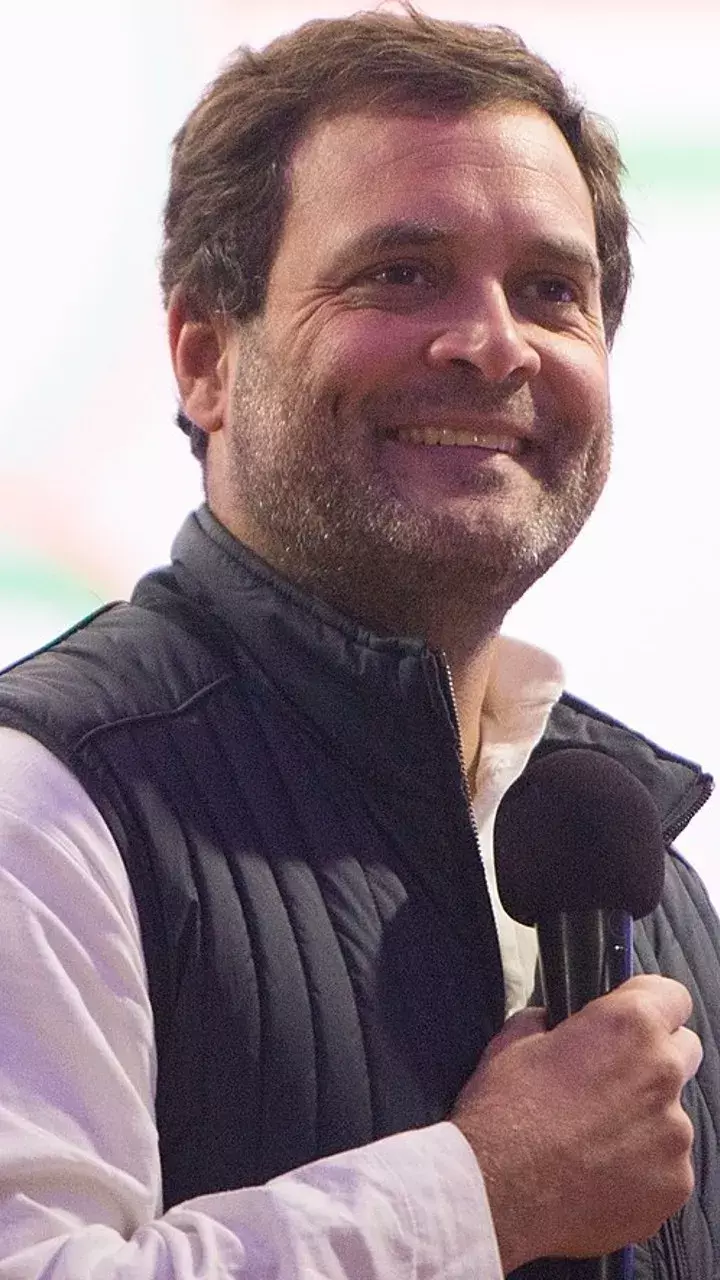 Rahul Gandhis Young Clan Exits Congress
