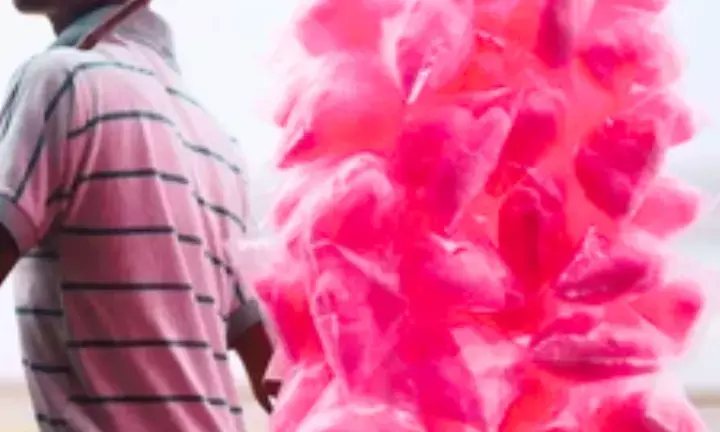 Puducherrys Cotton Candy Ban