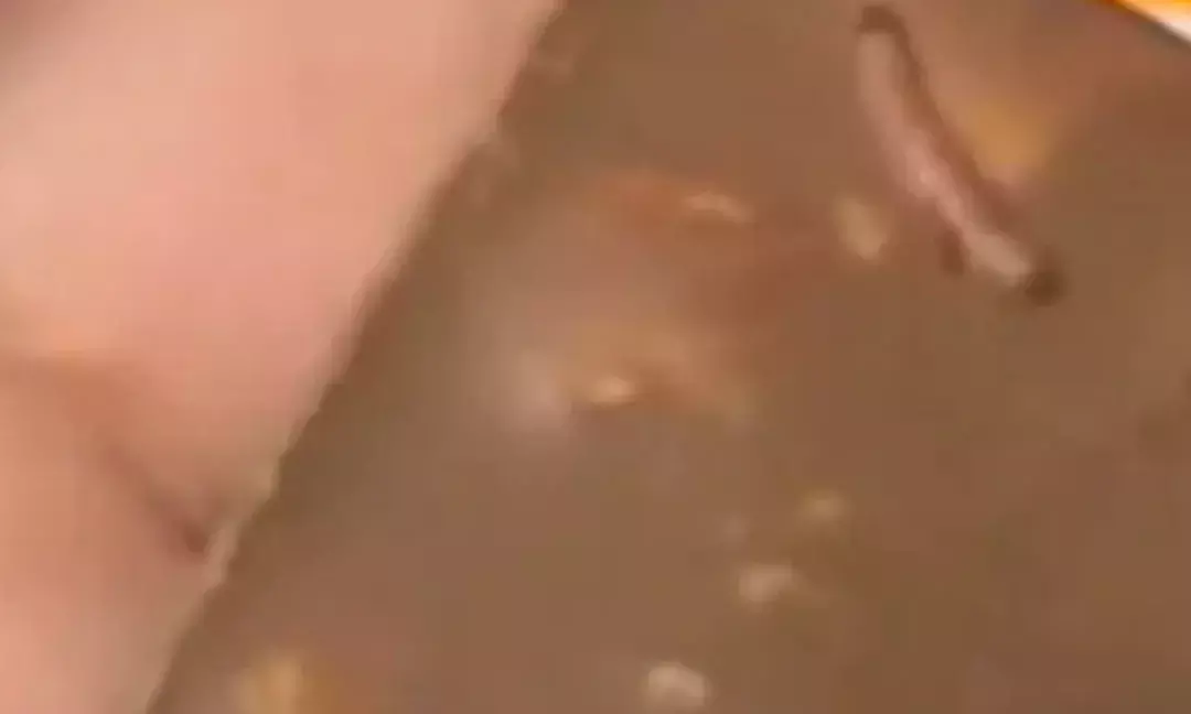 Worm in Chocolate