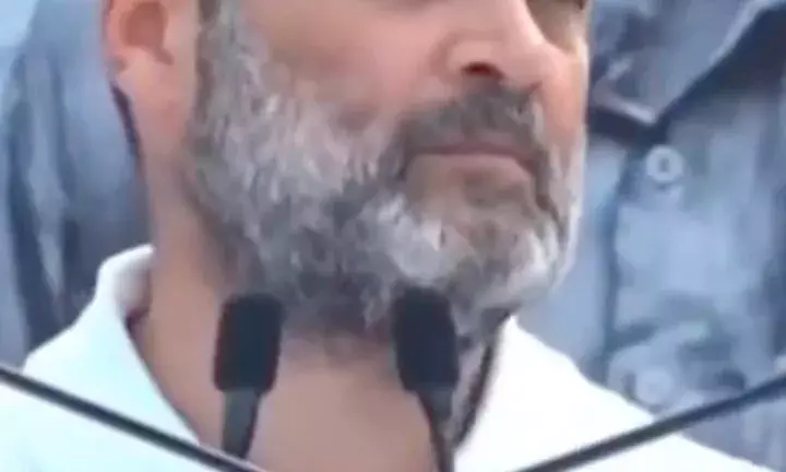 Rahul Gandhi Promises MSP To Farmers If INDIA Elected