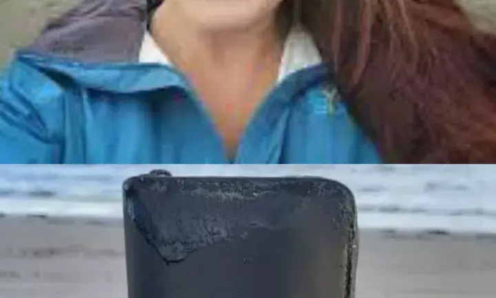 Wallet Lost At Sea Found By Owner