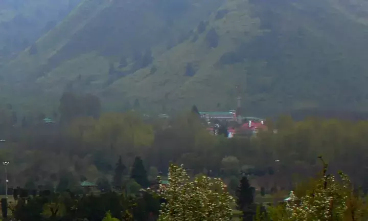 Tulip Festival Set to Begin in Srinagar