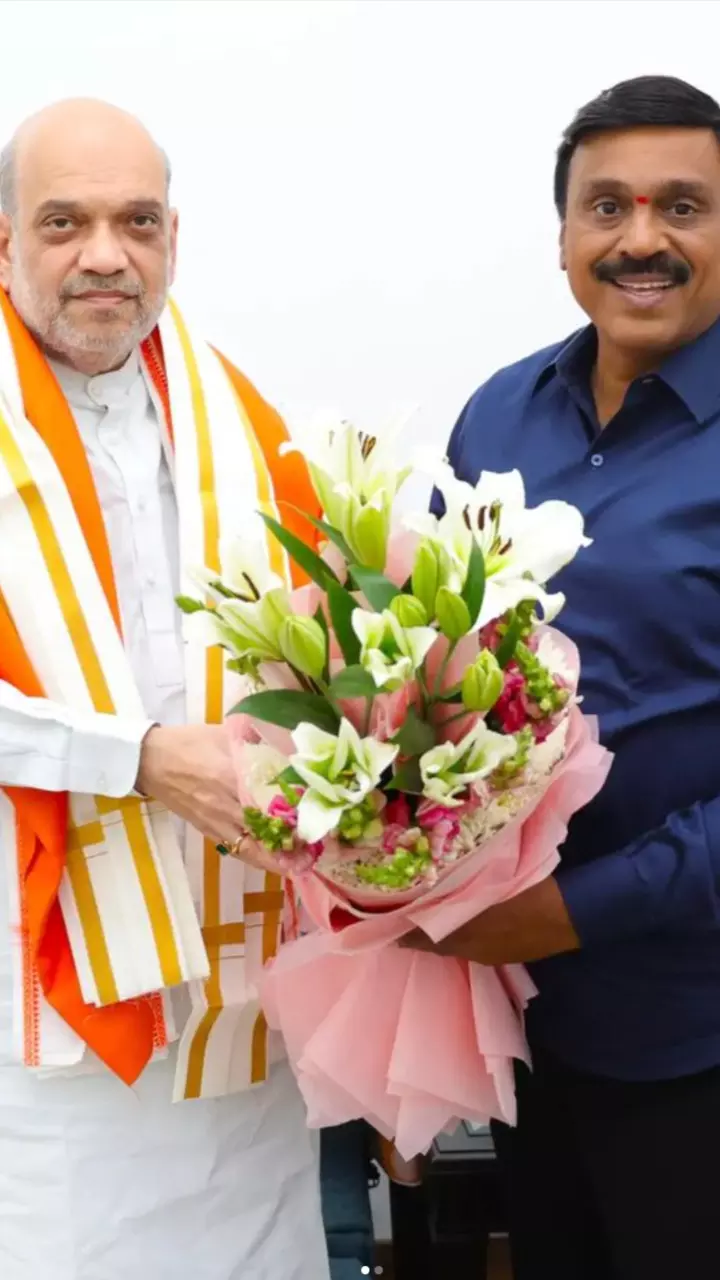 Why is Modi govt saving Janardhan Reddy?