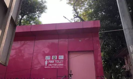 New Delhis Pink Toilets: Promises and Pitfalls