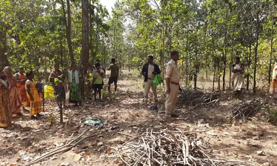 वन संरक्षण: झारखंड में Simdega के जंगलों की रक्षक बनीं ग्रामीण महिलाएं