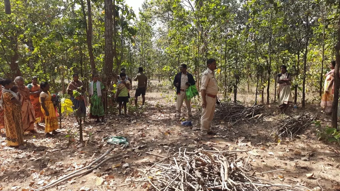 वन संरक्षण: झारखंड में Simdega के जंगलों की रक्षक बनीं ग्रामीण महिलाएं वन संरक्षण: झारखंड में Simdega के जंगलों की रक्षक बनीं ग्रामीण महिलाएं