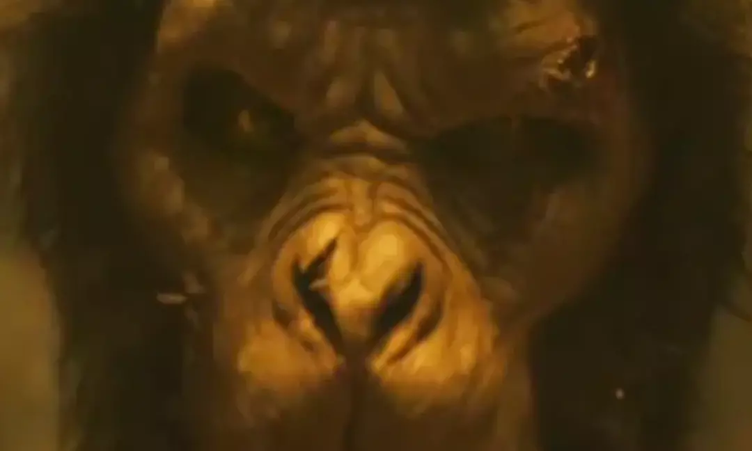 Dev Patels Monkey Man Release Postponed