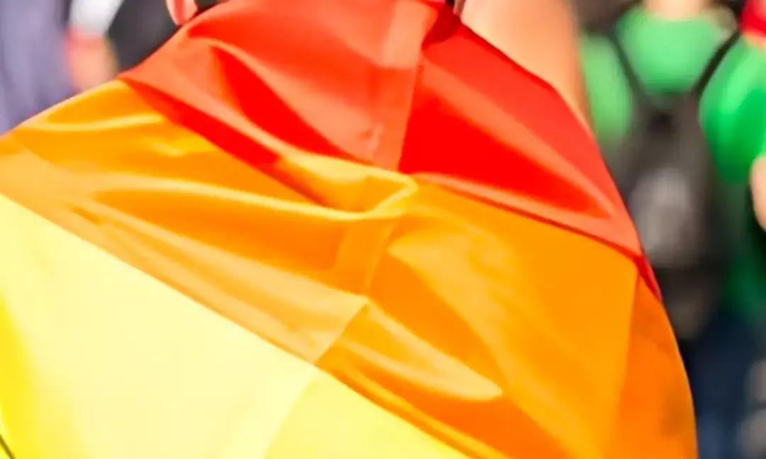 Election Promises and Queer Realities: Navigating Inclusion in Indian Politics