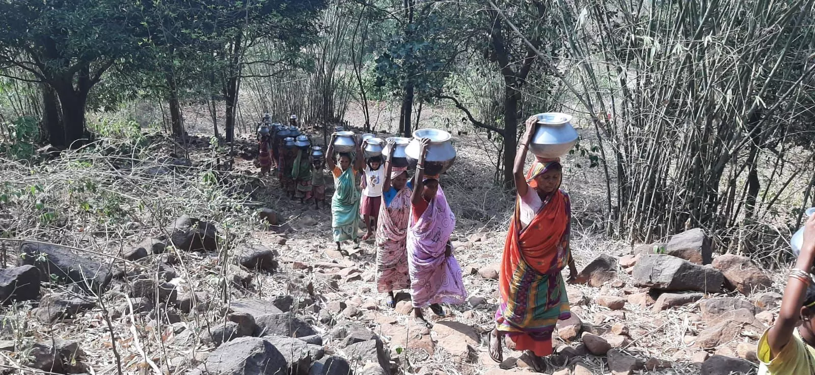 आख़िर क्यों आज़ादी के 76 साल बाद भी बूंद-बूंद पानी को तरस रहा झारखंड का पहाड़िया समुदाय आख़िर क्यों आज़ादी के 76 साल बाद भी बूंद-बूंद पानी को तरस रहा झारखंड का पहाड़िया समुदाय