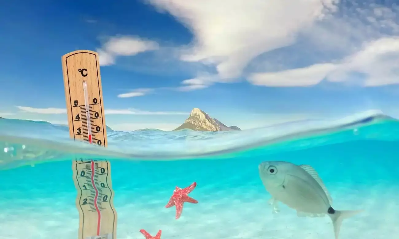 The Indian Oceans Rising Fever