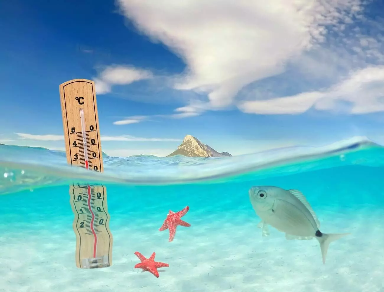 The Indian Oceans Rising Fever The Indian Oceans Rising Fever