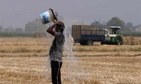 Indias Extreme Temperatures: No Country For Outdoor Workers