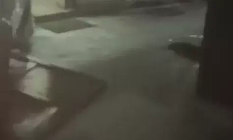 Emergency Ward At RG Kar Vandalised By Mob, Violent Mob Also Attacked Protesting Doctors