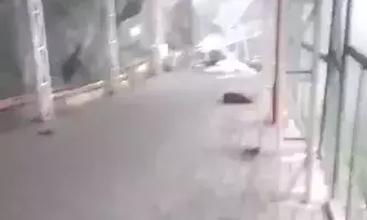 Landslide Hits Vaishnodevi Yatra Route In Katra, 3 Reportedly Dead